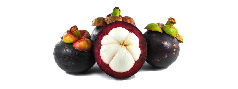 240612-WEBSITE-SOURSOP-45.png